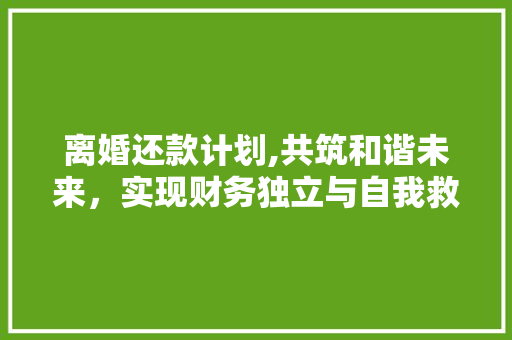 离婚还款计划,共筑和谐未来，实现财务独立与自我救赎