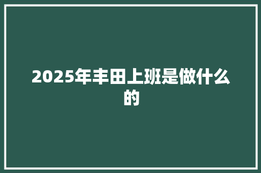 2025年丰田上班是做什么的