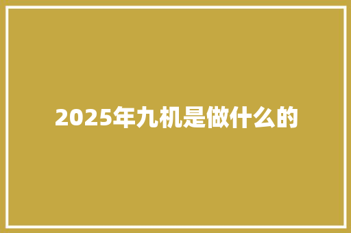 2025年九机是做什么的