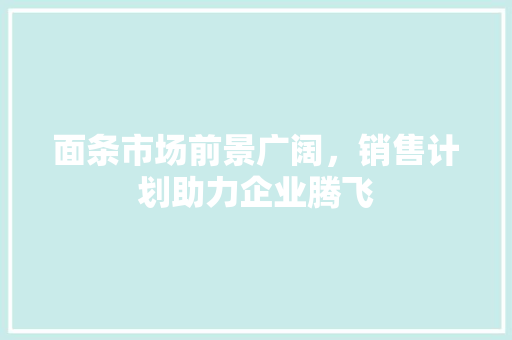 面条市场前景广阔，销售计划助力企业腾飞