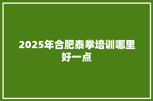 2025年合肥泰拳培训哪里好一点