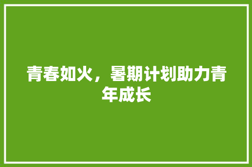 青春如火，暑期计划助力青年成长