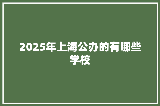 2025年上海公办的有哪些学校