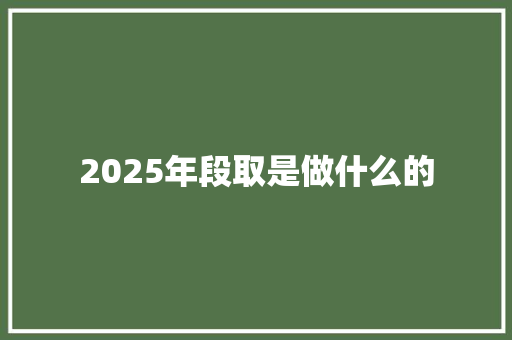 2025年段取是做什么的