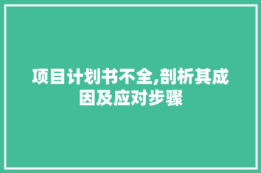 项目计划书不全,剖析其成因及应对步骤