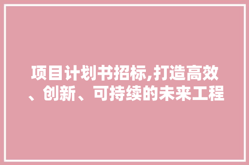项目计划书招标,打造高效、创新、可持续的未来工程
