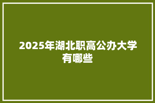 2025年湖北职高公办大学有哪些