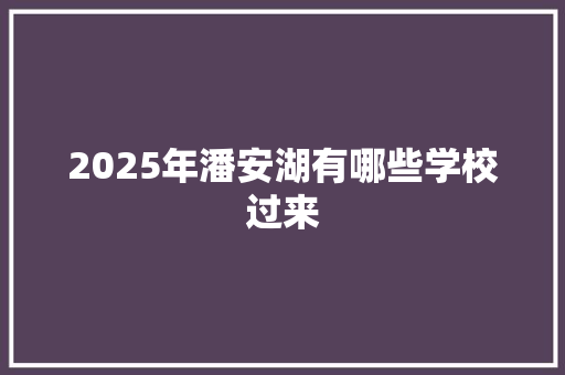 2025年潘安湖有哪些学校过来