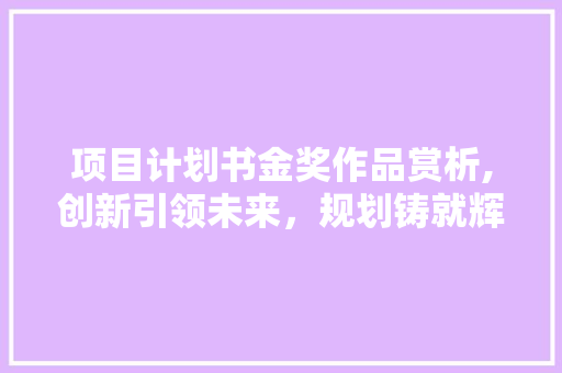 项目计划书金奖作品赏析,创新引领未来，规划铸就辉煌