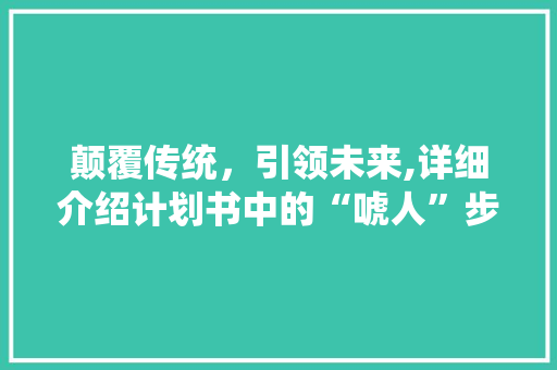 颠覆传统，引领未来,详细介绍计划书中的“唬人”步骤