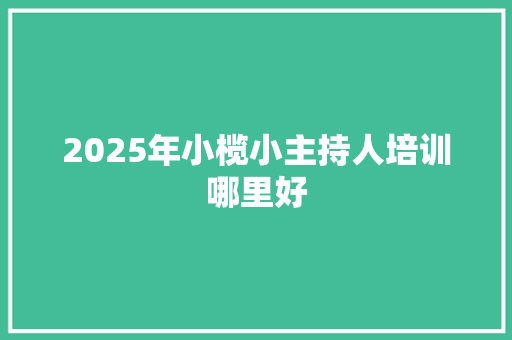 2025年小榄小主持人培训哪里好