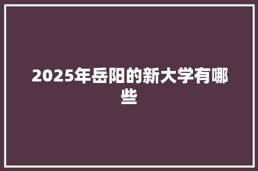2025年岳阳的新大学有哪些