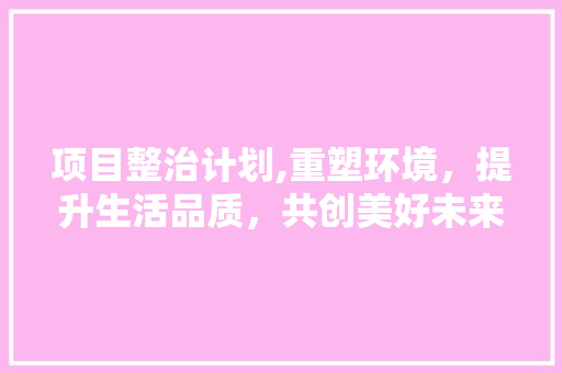 项目整治计划,重塑环境，提升生活品质，共创美好未来