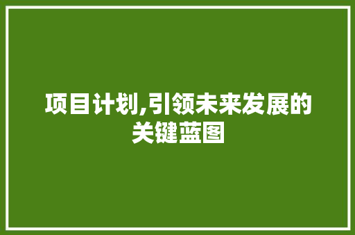 项目计划,引领未来发展的关键蓝图