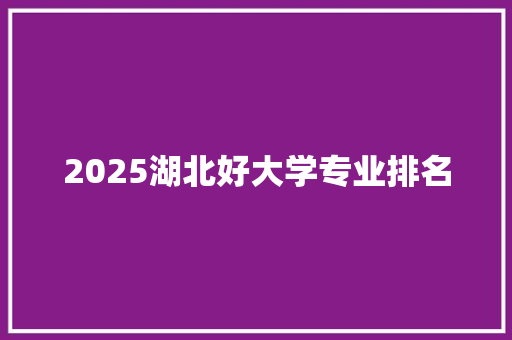 2025湖北好大学专业排名