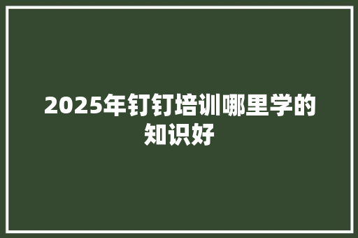 2025年钉钉培训哪里学的知识好