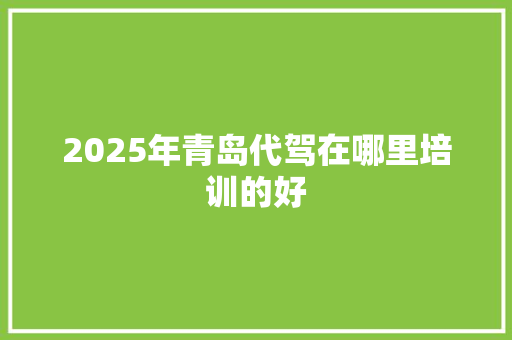 2025年青岛代驾在哪里培训的好