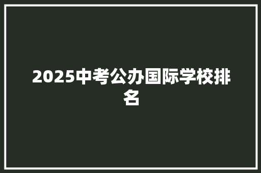2025中考公办国际学校排名 职场应用