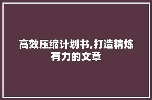 高效压缩计划书,打造精炼有力的文章