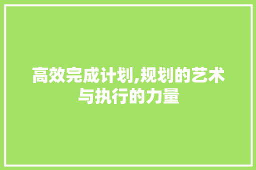 高效完成计划,规划的艺术与执行的力量