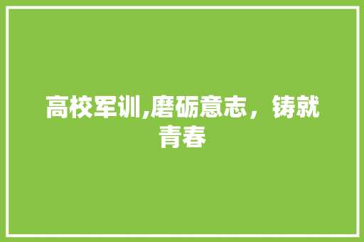 高校军训,磨砺意志，铸就青春