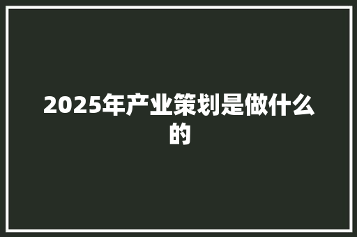 2025年产业策划是做什么的