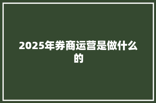 2025年券商运营是做什么的