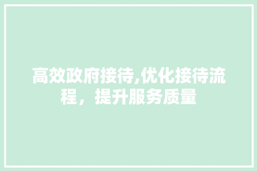 高效政府接待,优化接待流程，提升服务质量