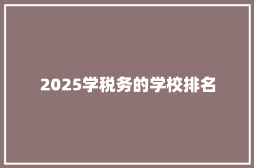2025学税务的学校排名
