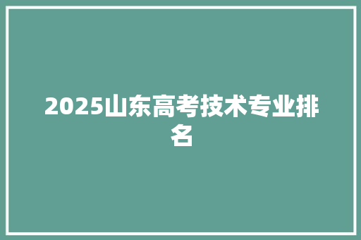 2025山东高考技术专业排名