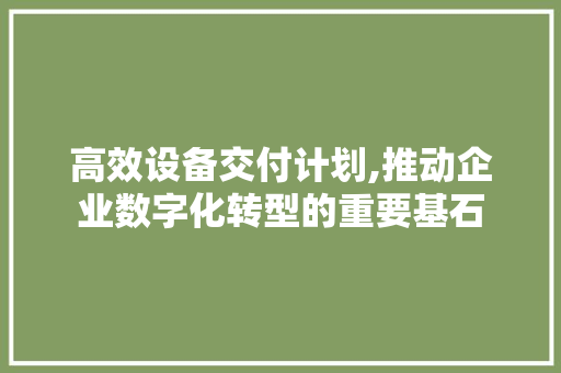 高效设备交付计划,推动企业数字化转型的重要基石