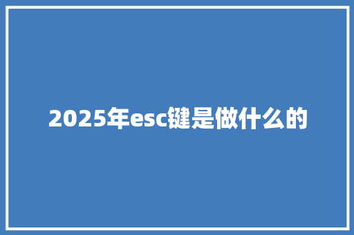 2025年esc键是做什么的