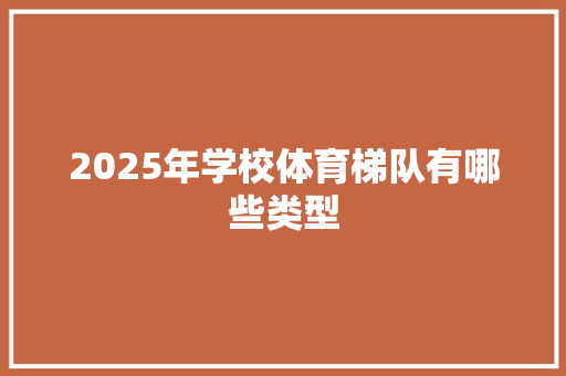 2025年学校体育梯队有哪些类型