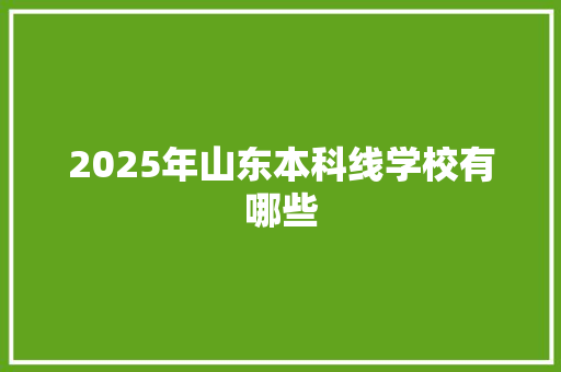 2025年山东本科线学校有哪些