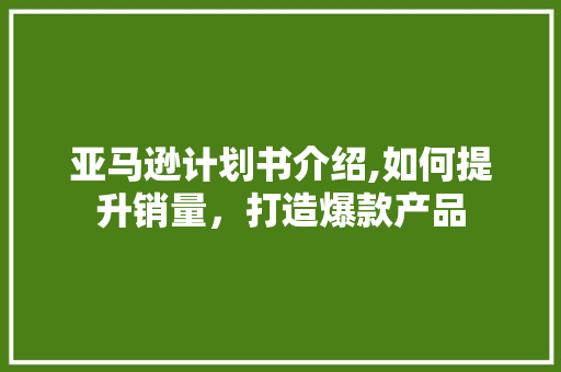 亚马逊计划书介绍,如何提升销量，打造爆款产品