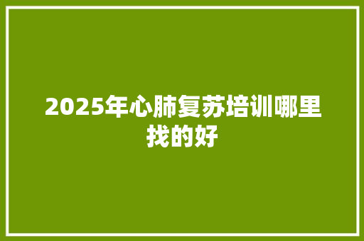 2025年心肺复苏培训哪里找的好