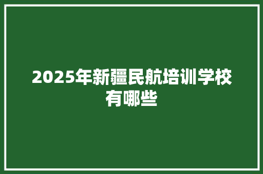 2025年新疆民航培训学校有哪些