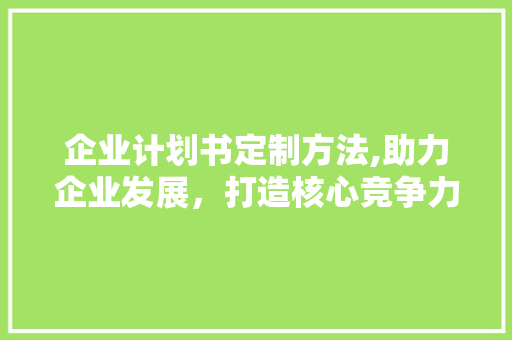 企业计划书定制方法,助力企业发展，打造核心竞争力