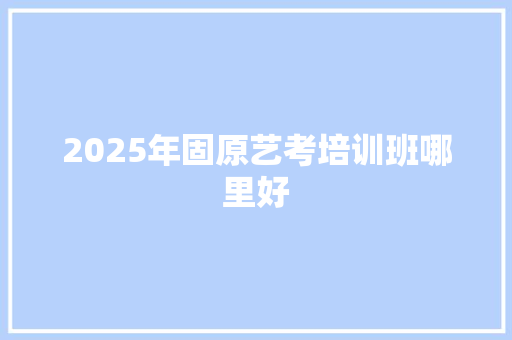 2025年固原艺考培训班哪里好