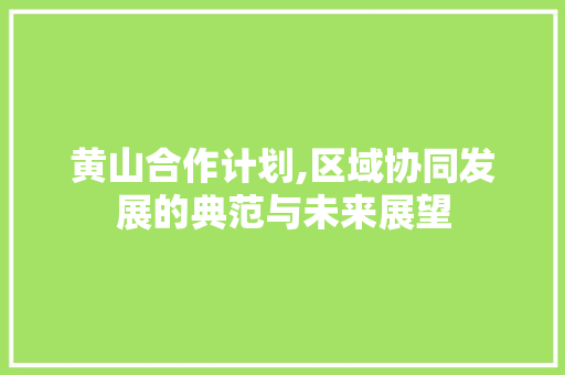 黄山合作计划,区域协同发展的典范与未来展望