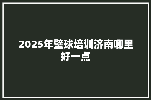 2025年壁球培训济南哪里好一点