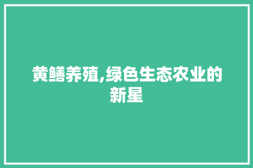 黄鳝养殖,绿色生态农业的新星