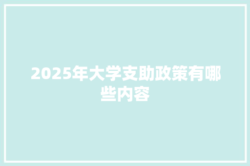 2025年大学支助政策有哪些内容
