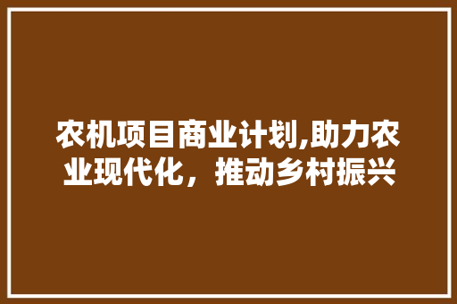 农机项目商业计划,助力农业现代化，推动乡村振兴