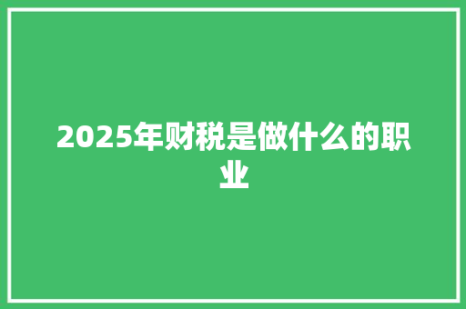 2025年财税是做什么的职业