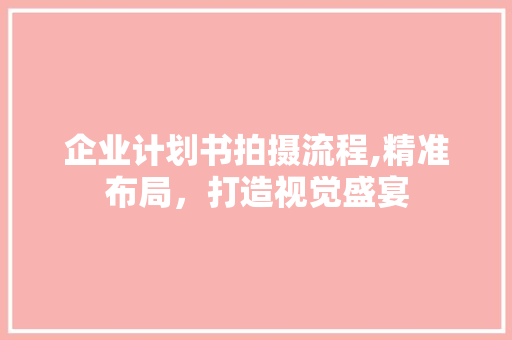 企业计划书拍摄流程,精准布局，打造视觉盛宴
