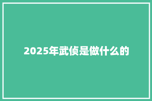 2025年武侦是做什么的