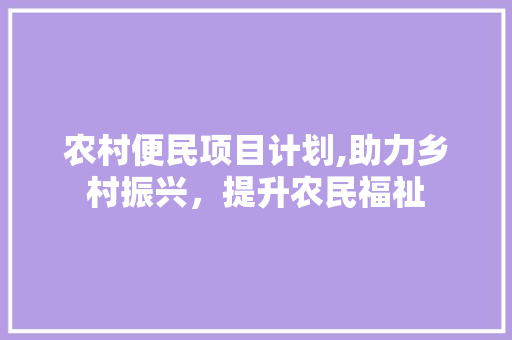 农村便民项目计划,助力乡村振兴，提升农民福祉