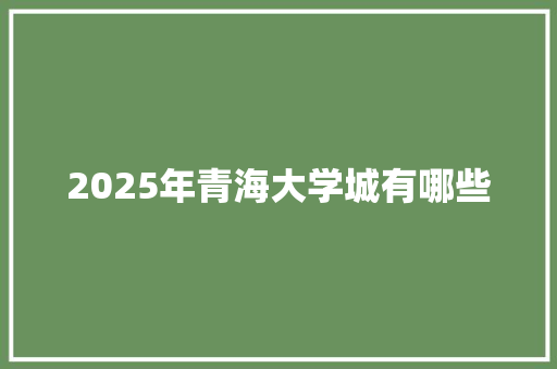 2025年青海大学城有哪些