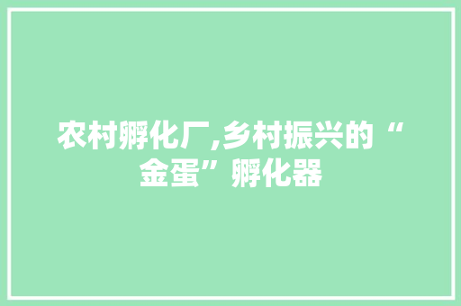农村孵化厂,乡村振兴的“金蛋”孵化器